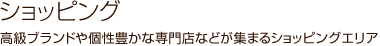 高級ブランドや個性豊かな専門店などが集まるショッピングエリア